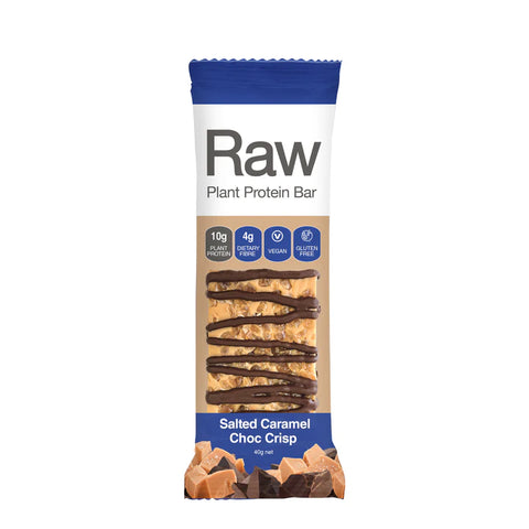 Raw Plant Protein Bars