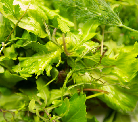 Salad Greens Mix